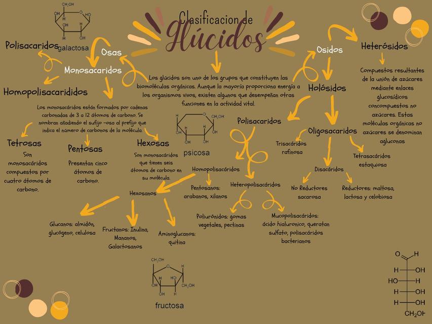 Clasificación de Glúcidos