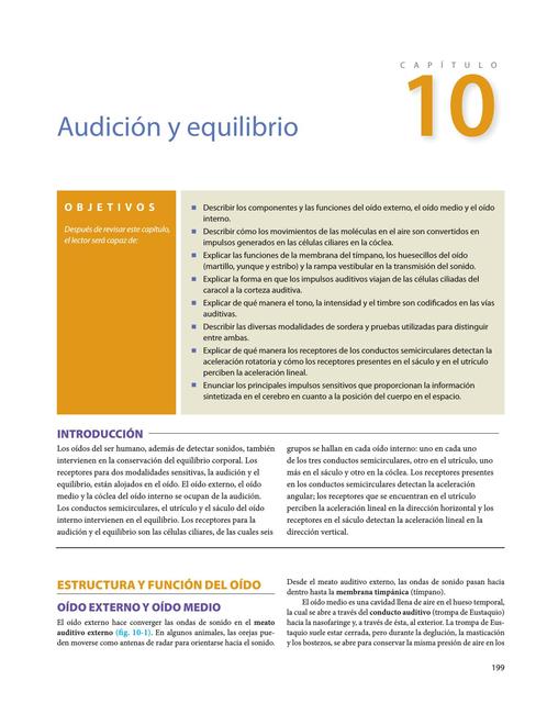 Audición y equilibrio