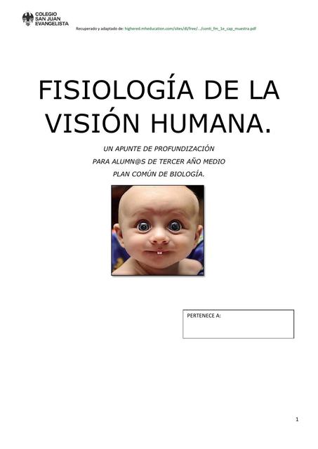 Fisiología de la visión humana 