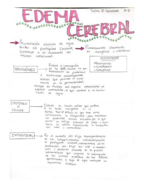 Edema Cerebral