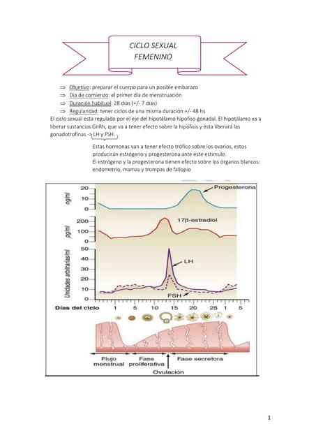 Ciclo Sexual Femenino