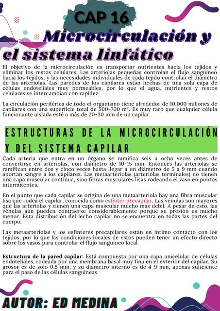 Microcirculación y el Sistema Linfático