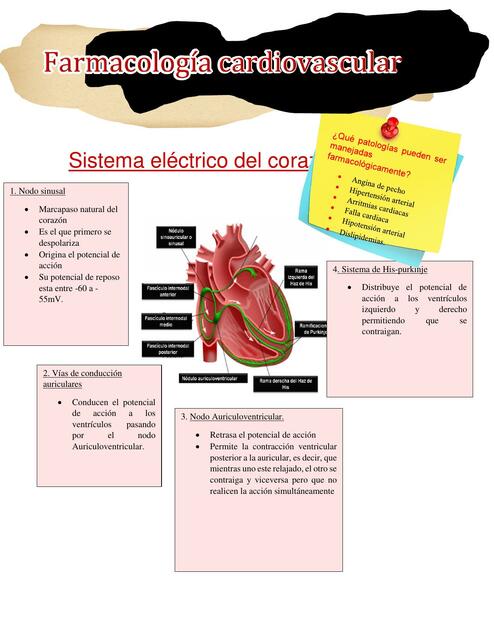 Farmacología Cardiovascular