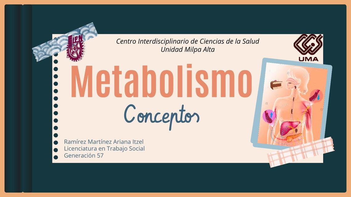 Metabolismo