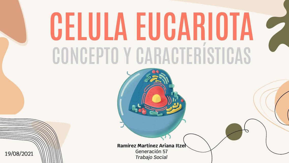 Célula Eucariota