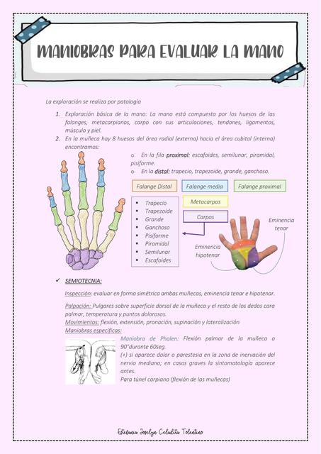 Maniobras de la mano, hombro y lumbar - Criterios clínicos AR