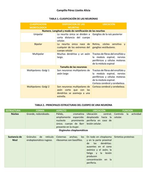 Tabla de Tejido Nervioso