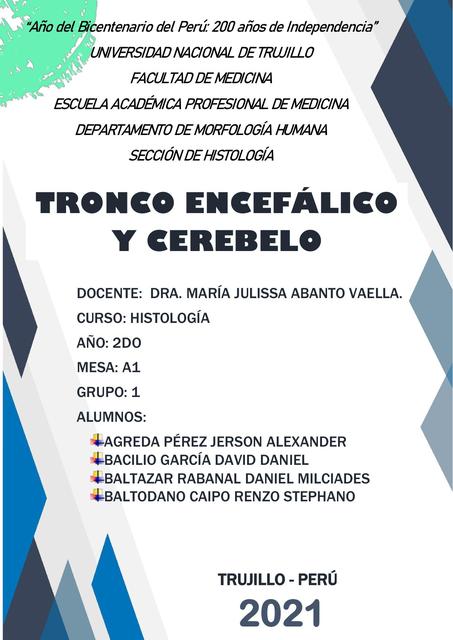 S12 INFORME TRONCO Y CEREBELO