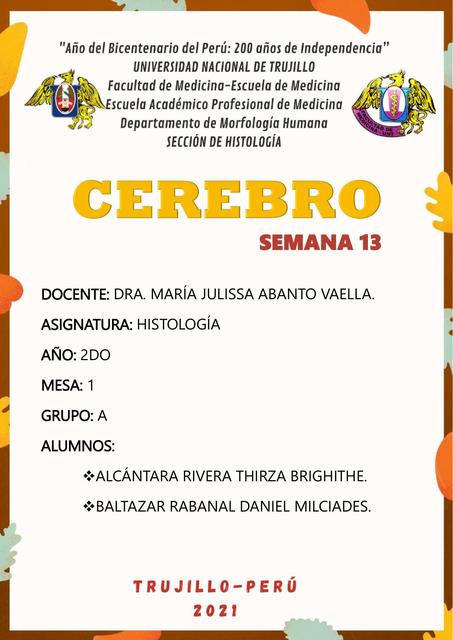 S13 INFORME HISTOLOGÍA CEREBRO