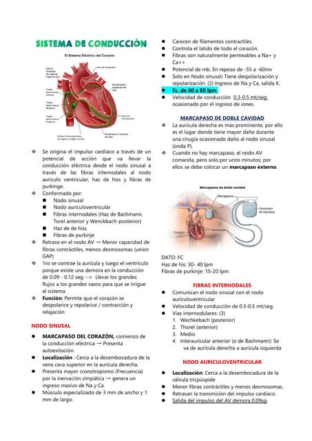 SISTEMA DE CONDUCCIÓN