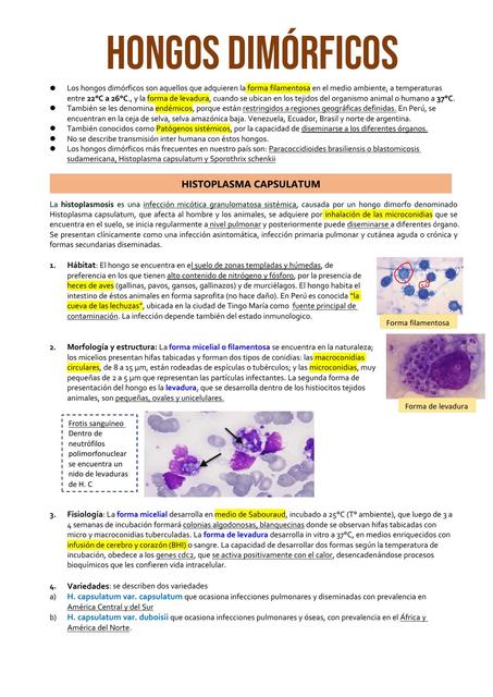 Hongos Dimórficos