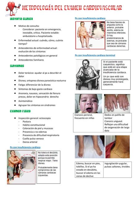 1 Metodologia del examen cardiovascular