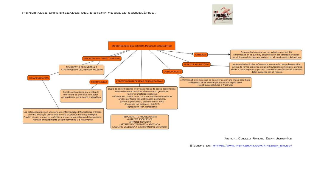 Principales Enfermedades del Sistema Musculo Esquelético