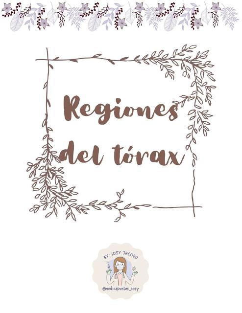 Mini resumen: Regiones del tórax