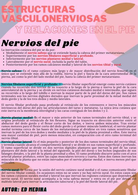 Estructuras Vasculonerviosas del Pie