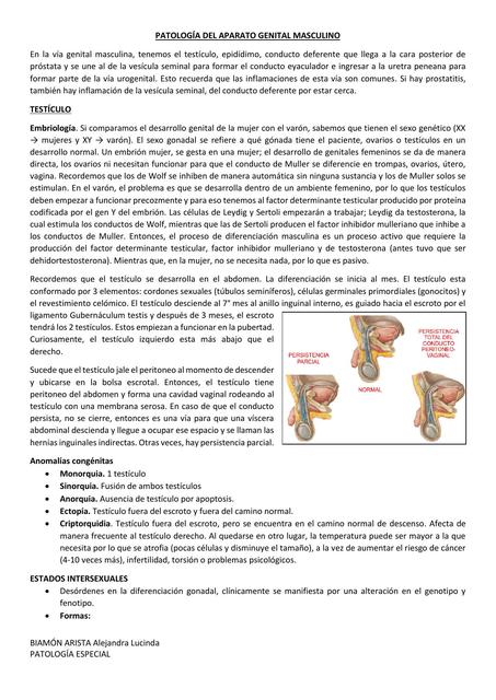 PATOLOGÍA DEL APARATO GENITAL MASCULINO 2 1