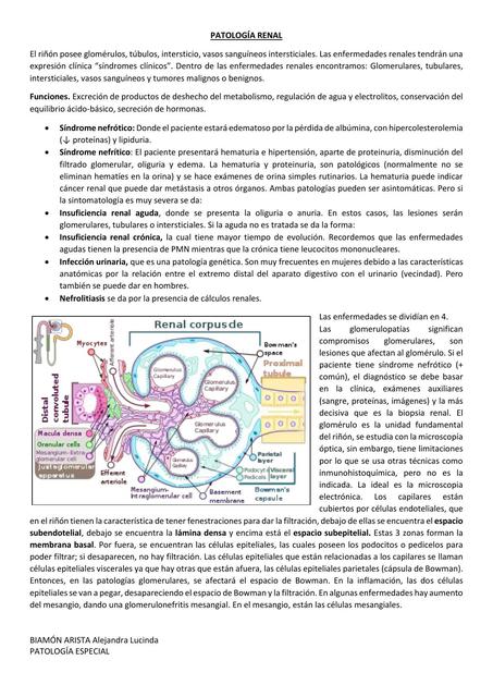 PATOLOGÍA RENAL 2