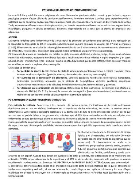 PATOLOGÍA DEL SISTEMA LINFAHEMATOPOYÉTICO 2