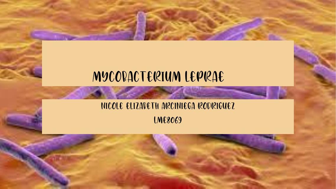 Mycobacterium Leprae