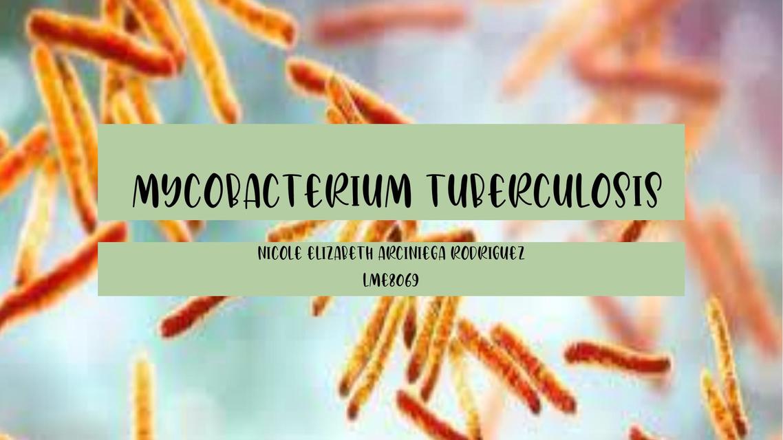 Mycobacterium Tuberculosis