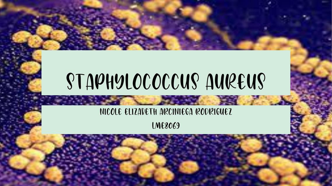 Staphylococcus Aureus