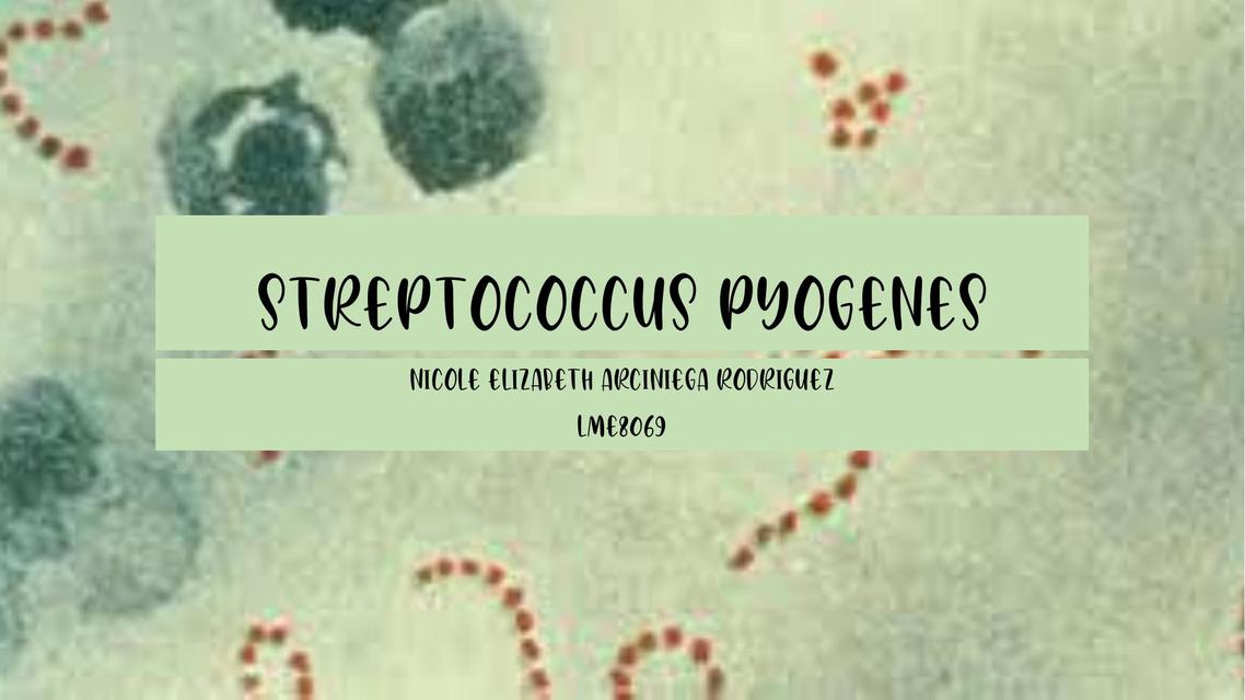 streptococcus pyogenes