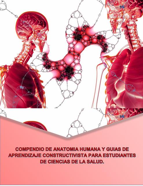 Generalidades de Anatomía, Posición Anatómica y Nomenclatura 