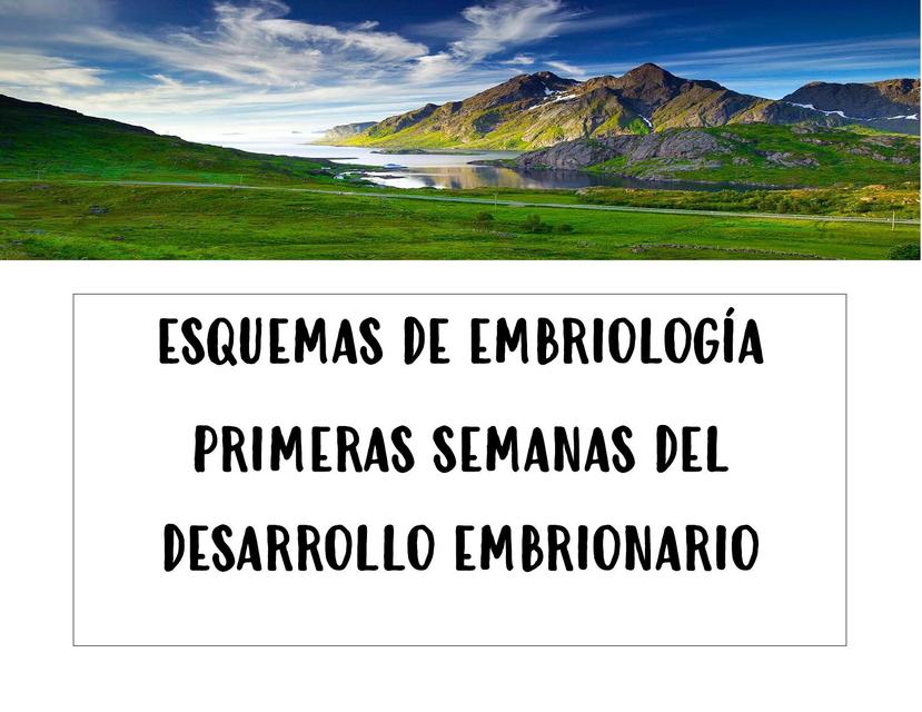 Esquemas de Embriología 1era y 2da Semana