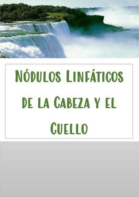 Sistema Linfático del cuello y cabeza