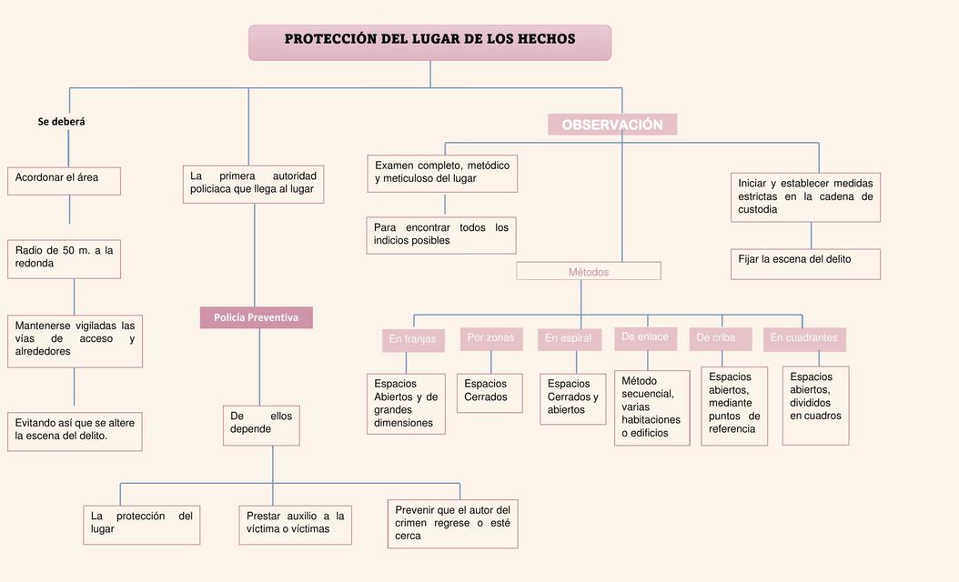 Esquema Gráfico Criminalística