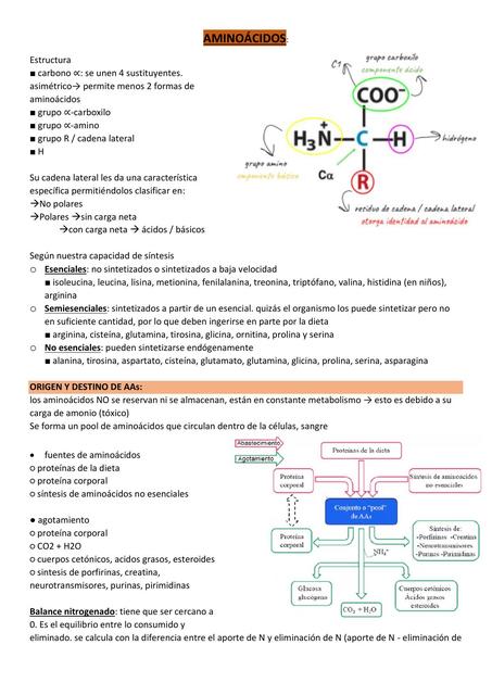 Aminoácidos 
