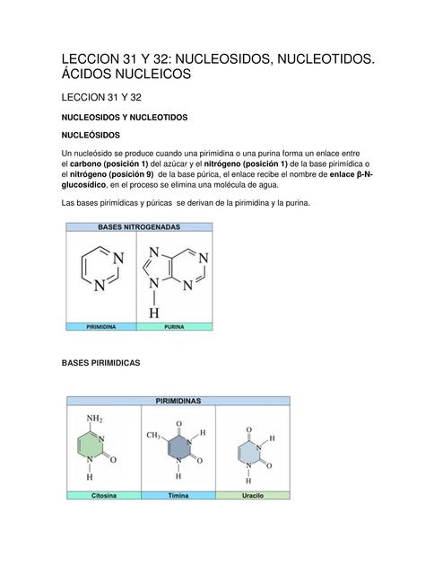 Nucleósidos, Nucleótidos. Ácidos Nucleicos 