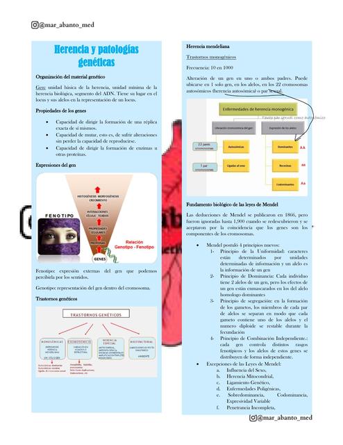Herencia y patologías genéticas