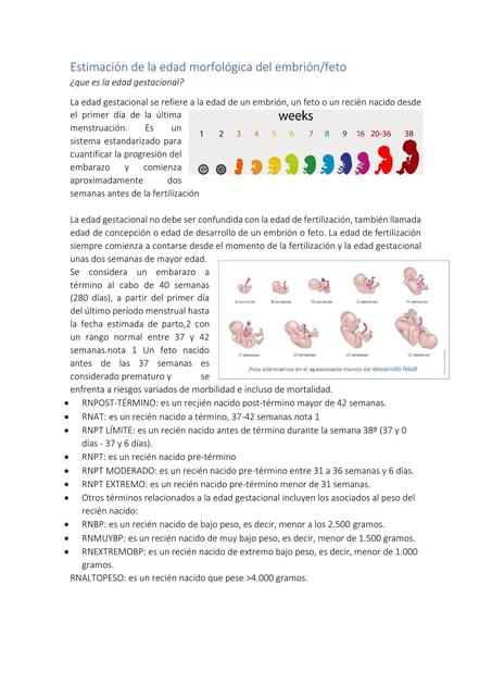 Estimación de la edad morfológica del embriónfeto