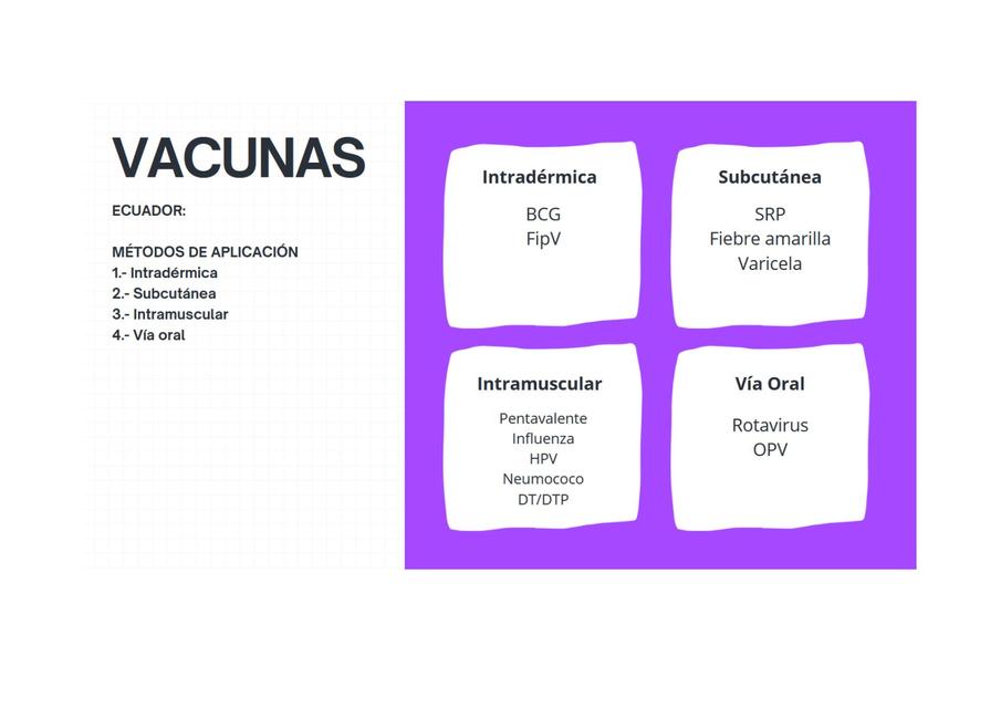 Esquema de Vacunas en Ecuador