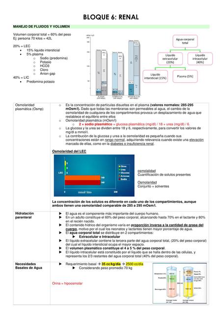 PATOLOGÍAS RENAL