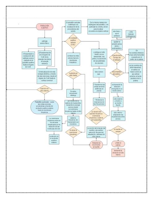 Fisiología Auditiva