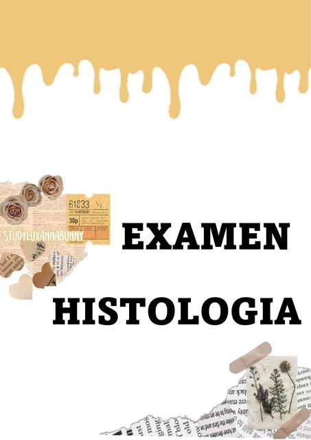 Examen de Histología