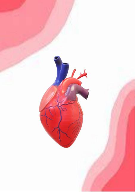 Examen de Cardiología y Patologías Cardiacas