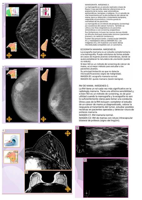 copilados esplacno2- cat2