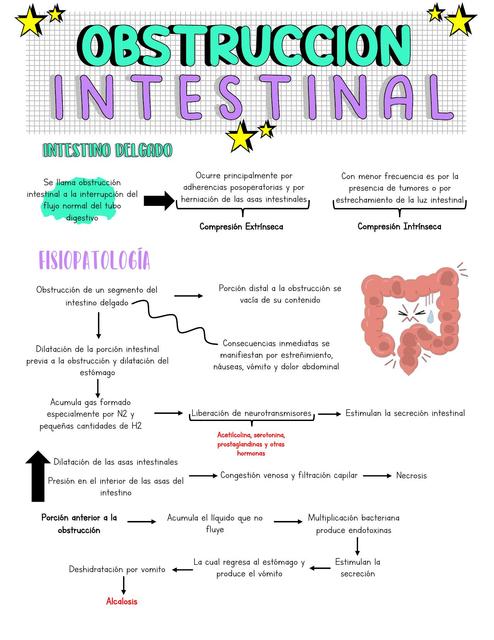 Obstrucción Intestinal