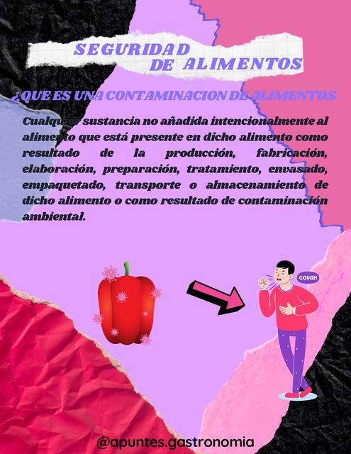 seguridad de alimentos