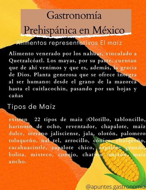 Gastronomía Prehispánica en México 