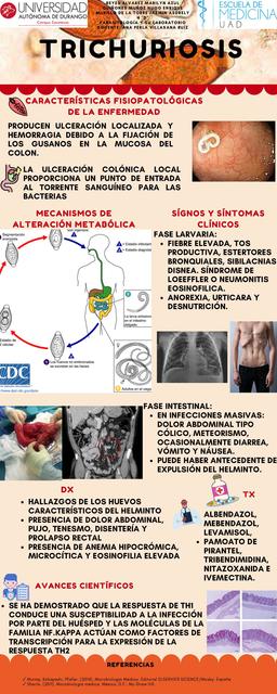 Trichuriosis 