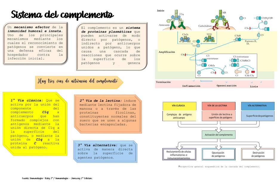 SISTEMA DEL COMPLEMENTO