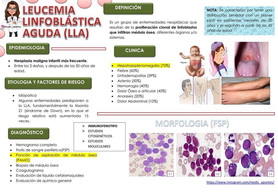 RESUMEN LLA