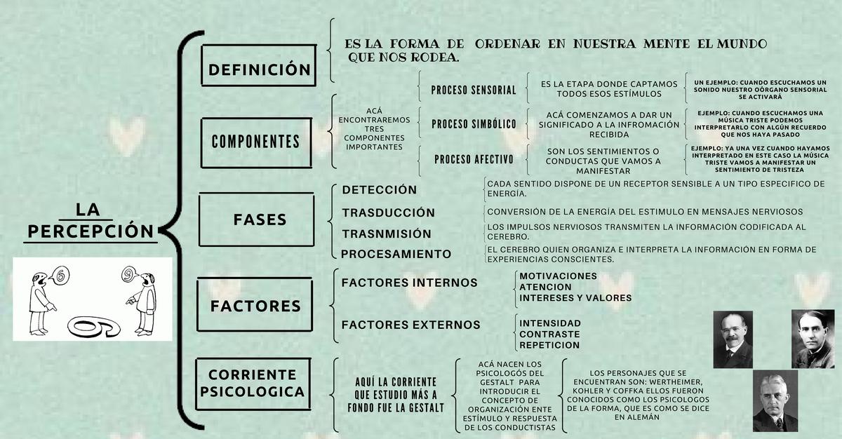 Cuadro sinóptico - Percepción