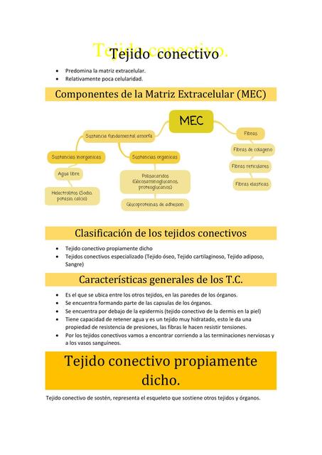 Tejido Conectivo 