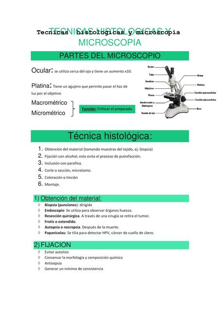 Técnicas Histológicas y Microscopia 