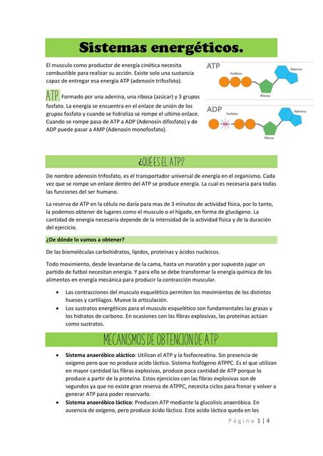 Sistemas Energéticos